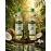 Astrea Buy 1 Get 1 Free – 500ml Combo