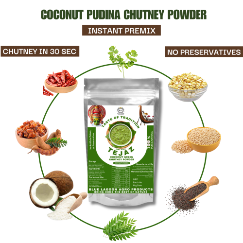 100gm Tejaz Coconut Pudina Chutney Powder